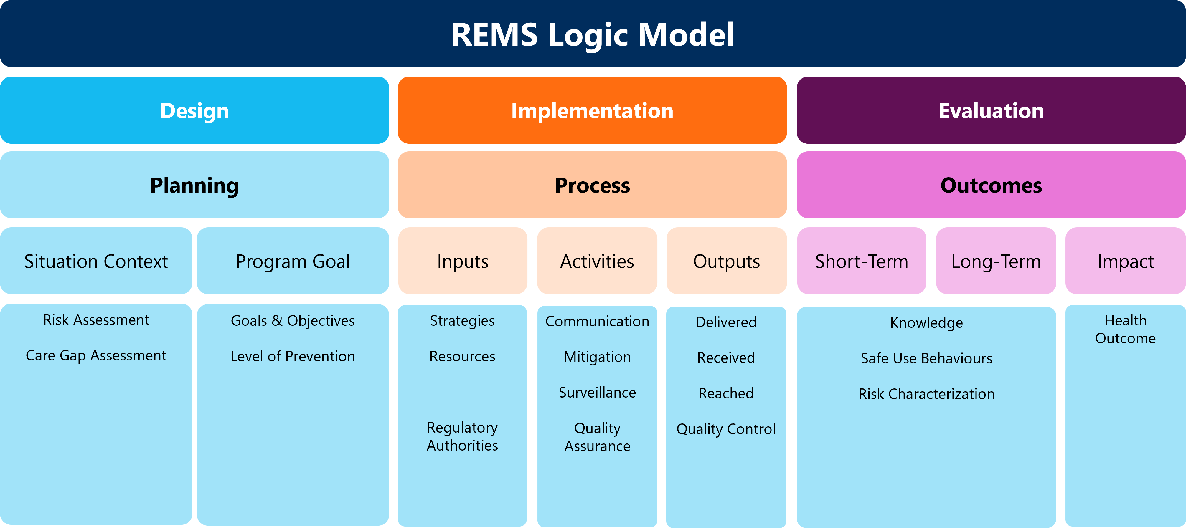 REMS Logic Model